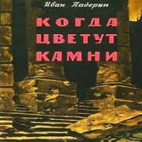 Аудиокнига Когда цветут камни Иван Падерин