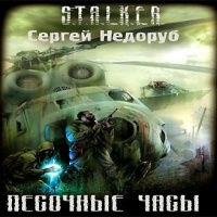 Аудиокнига S T A L K E R Песочные часы Сергей Недоруб